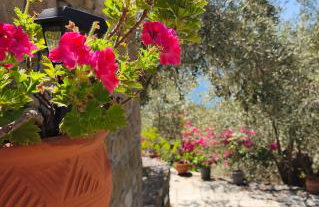 Sea view Goldins house - Foto 41