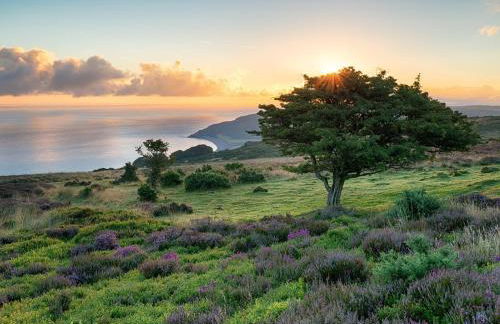 2 Bed in Bridgwater oc-alden - Foto 18