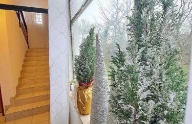 Apartments Villa Mavi - Foto 62