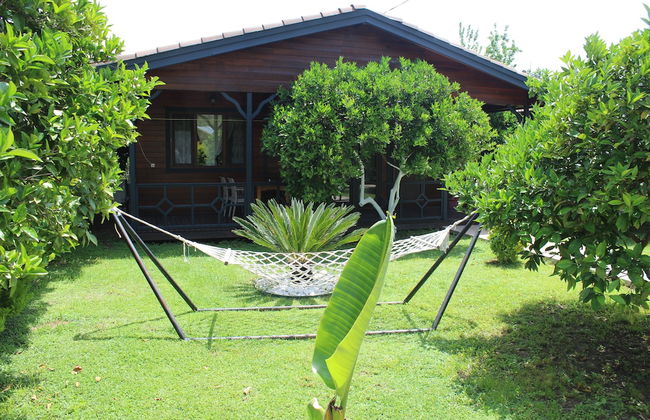 Cirali Villas Hotel Pansiyon - Foto 22