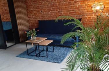 Apartamenty Gliwice Staromiejska 65 - Foto 55