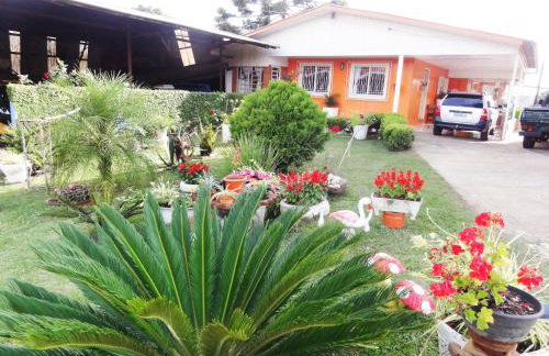 Orange House Canela - Foto 3