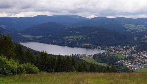 Friedolin im Bärenhüsli - Foto 2