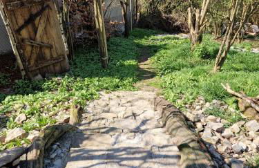 Henrys Cozy Tiny House - ruhig, Garten, Terrasse - Foto 25