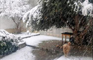 Fella Chalkida - Foto 43