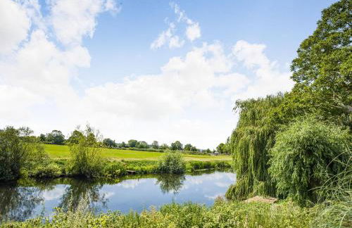 The Old Workshop - Cottage - Foto 33