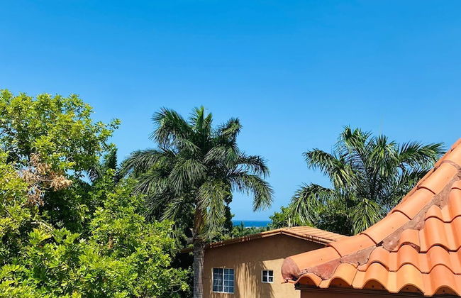 Montego Bay Ironshore Luxury Studios - Photo 37