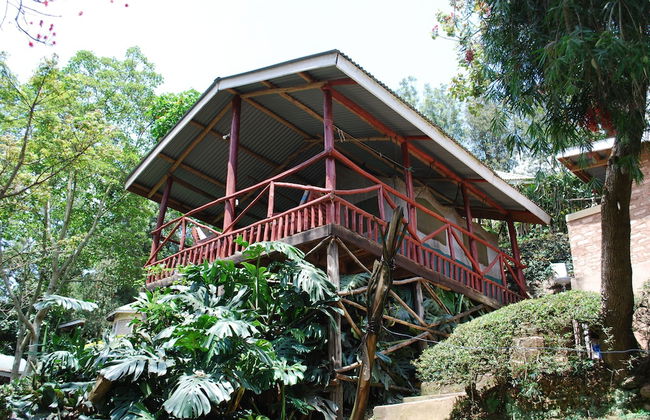 Crater Bay Cottages - Photo 68