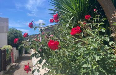 La Rosa del Mare - Foto 28