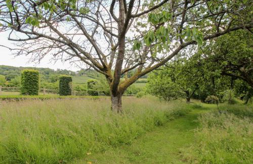 Uplands Dower House - Foto 61