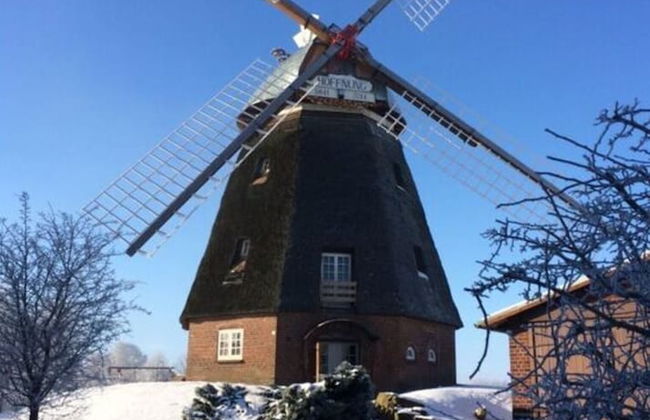 Hogelia Comfortable Holiday Residence - Foto 41