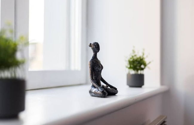 The Waterloo Flats - Foto 8