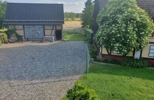 Apartment-Pension Spreewald Marie - Foto 8