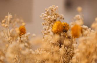 Pisana House - Appartement de charme tout confort - Foto 22