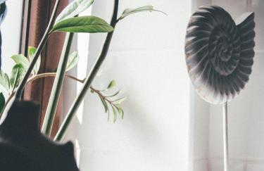 Willa Piwniczka Apartament Jahlowej - Foto 19