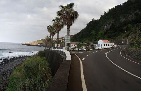 Lazy Lizard by the Ocean - Foto 45