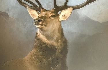 Cloverdale Aparthotel - Foto 8