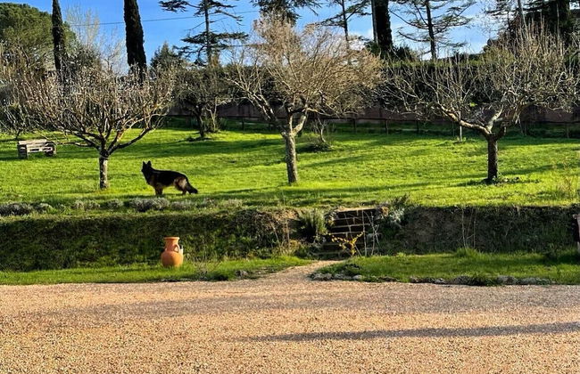 Agriturismo La Corte del Sole - Foto 71