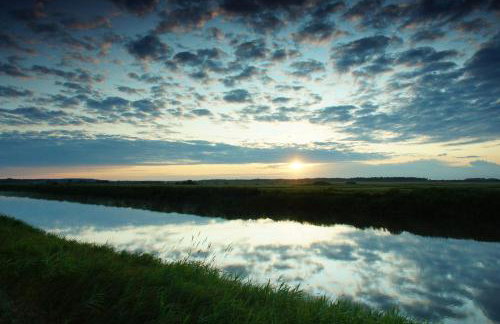 U Wileńskich - Foto 22