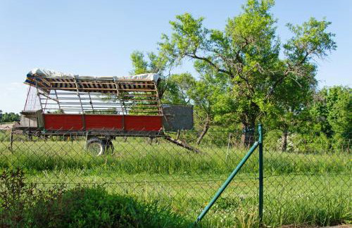 Ferienwohnung Apfelblüte - Foto 15