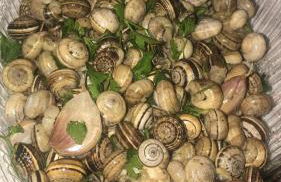 Aspra al delfino blu - Foto 8