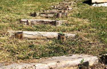 Locanda di Federico - Foto 24