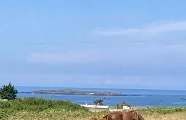 Le jardin des dunes - Foto 30