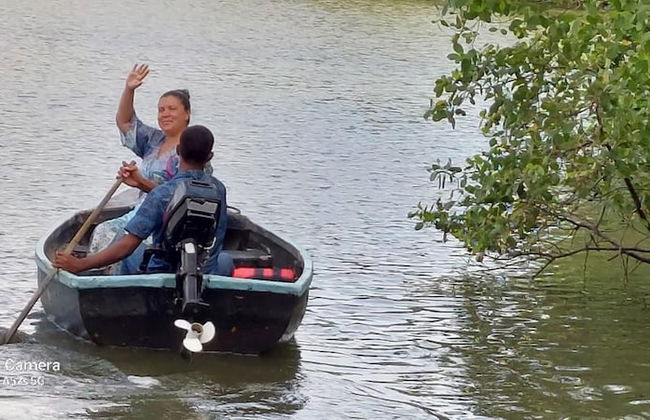 Morning Guest can see Momkeyies and Birds - Foto 19