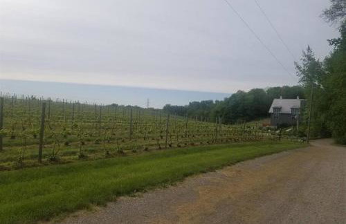 Smitten in da Mitten - 18 acres, Arcades, High Spd Web, Hot Tub, Pond! - Foto 49