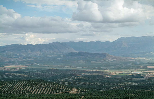 Free tour della Baeza delle tre culture - Foto 6
