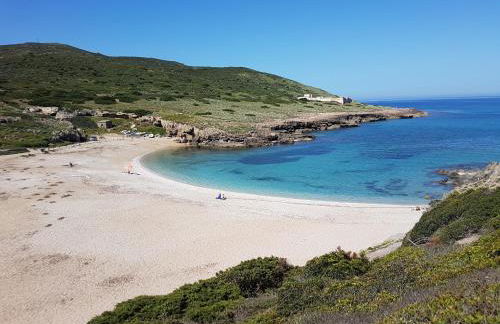 Le Palme Holidays - Foto 72