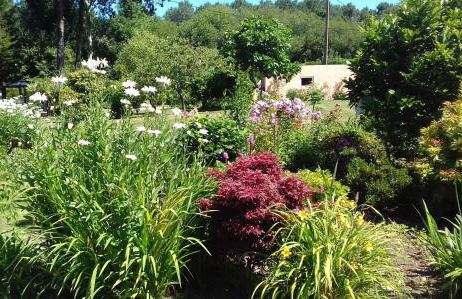 Au gite du bois d'amour - Foto 27