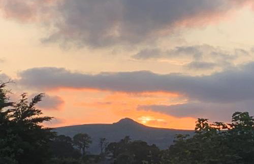 Field View - Foto 30