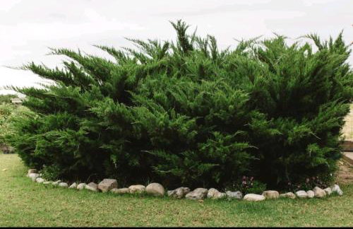 Chrisas hause - Foto 3