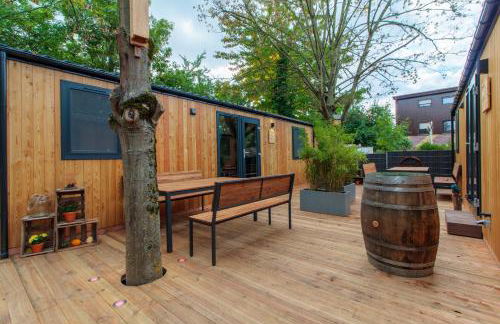 Iguana - Das Tiny Haus am Reptilienzoo Reptilium - Foto 14