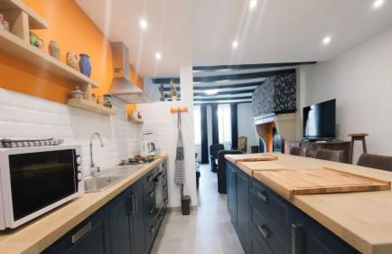 Le chat Moustic - Foto 13