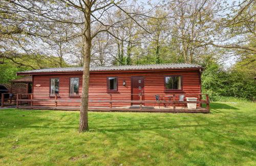 The Blacktail - Foto 20