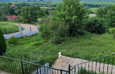 House with view - Foto 27