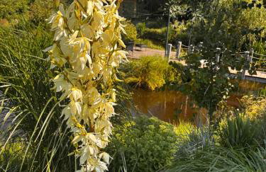 Idylla nad stawem- domek na Kaszubach - Photo 7