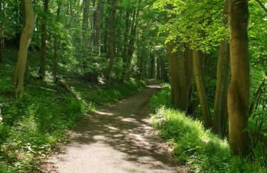 Naturpur die Wellnessoase - Foto 15