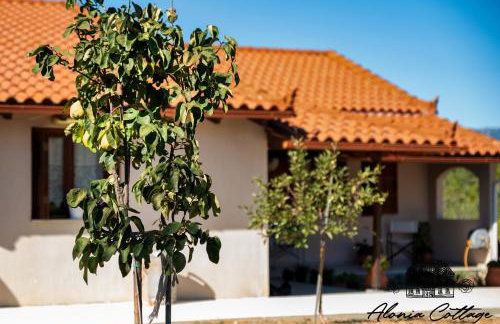 Alonia Cottage - Photo 39