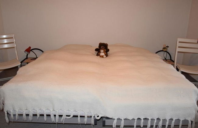 Favre OG Ost - Foto 18