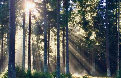 HOME Suites Loft mit Sauna - Foto 37