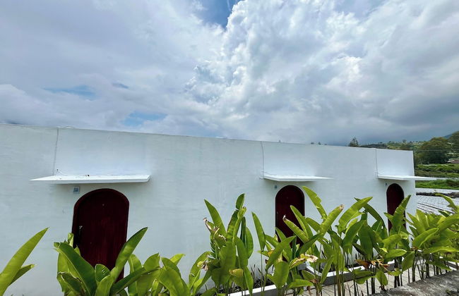 Batur Sunsun Kintamani - Foto 36