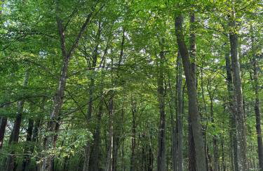 Stajnia Lipowo 45 - Foto 18