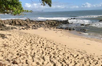 Apartamento Ilhéus Condominio Jubiabá - Photo 4