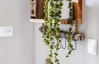 Na Szczycie Konopi - Foto 39