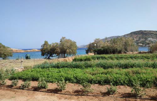 White Lotus seaside apartment - Photo 28