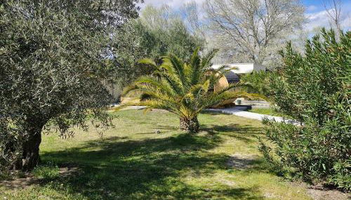 Maison avec piscine privée, sauna et activités - Rendez-vous en Provence - Foto 3, Garden, Garden view