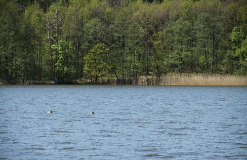 LAKE VIEW Apartamenty - Foto 74